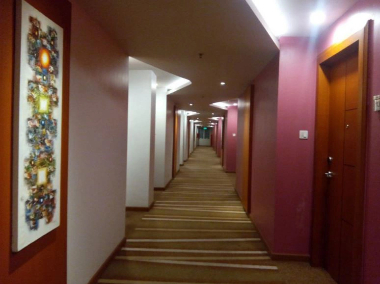 otel kapıları ve otel konsepti 44
