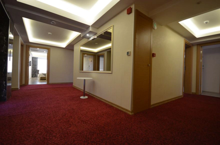 otel kapıları ve otel konsepti 59