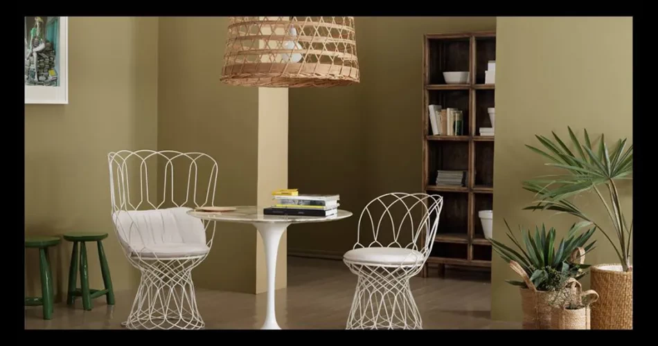 Salon Duvar Boyası Uygulaması